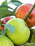 pomme_a_cidre_1253726327