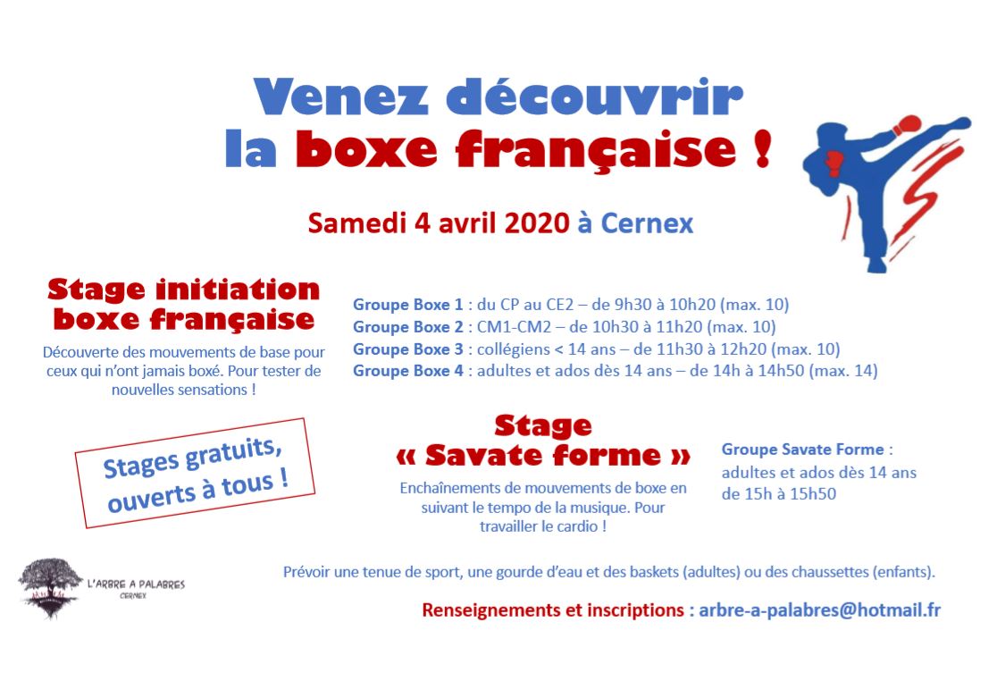 affiche stage boxe 2020
