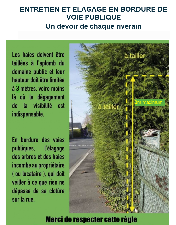 elagage voie publique