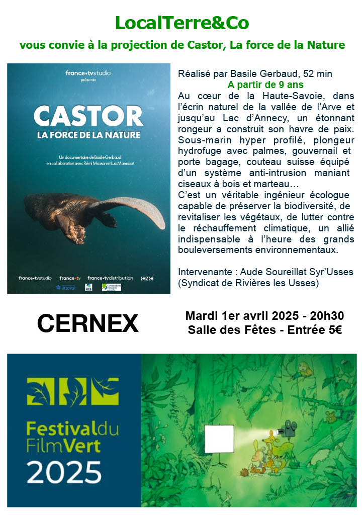 festival film vert affiche castor