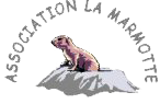 logo marmotte